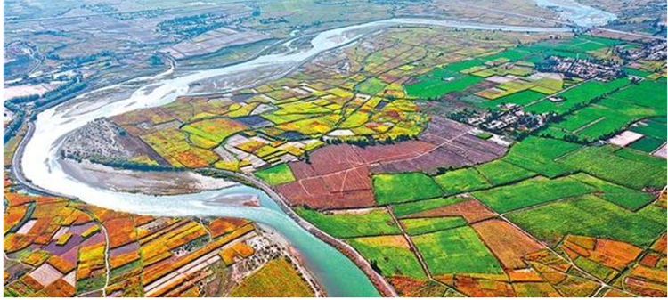 灌區(qū)實(shí)景圖 灌區(qū)實(shí)景圖